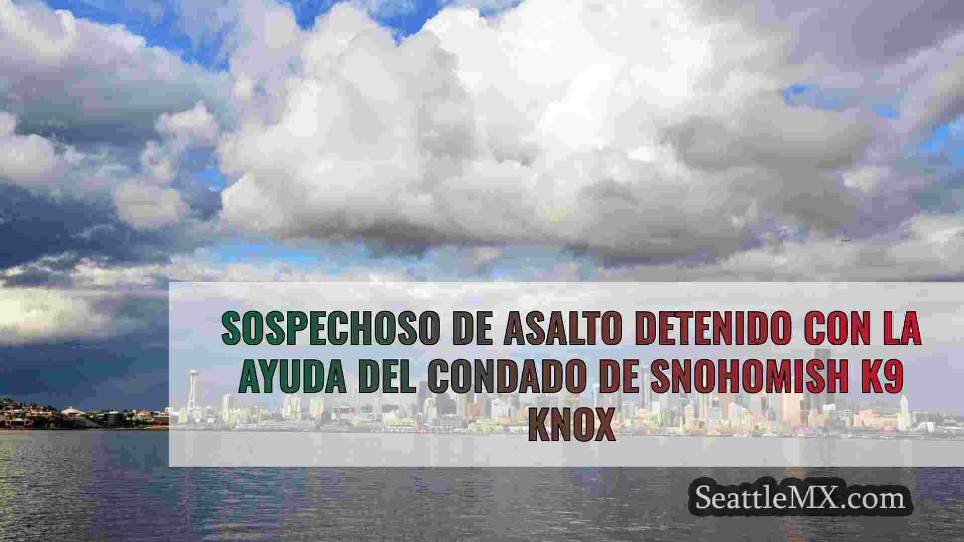 Sospechoso de asalto detenido con la