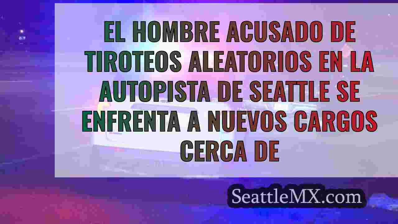Un hombre acusado de tiroteos