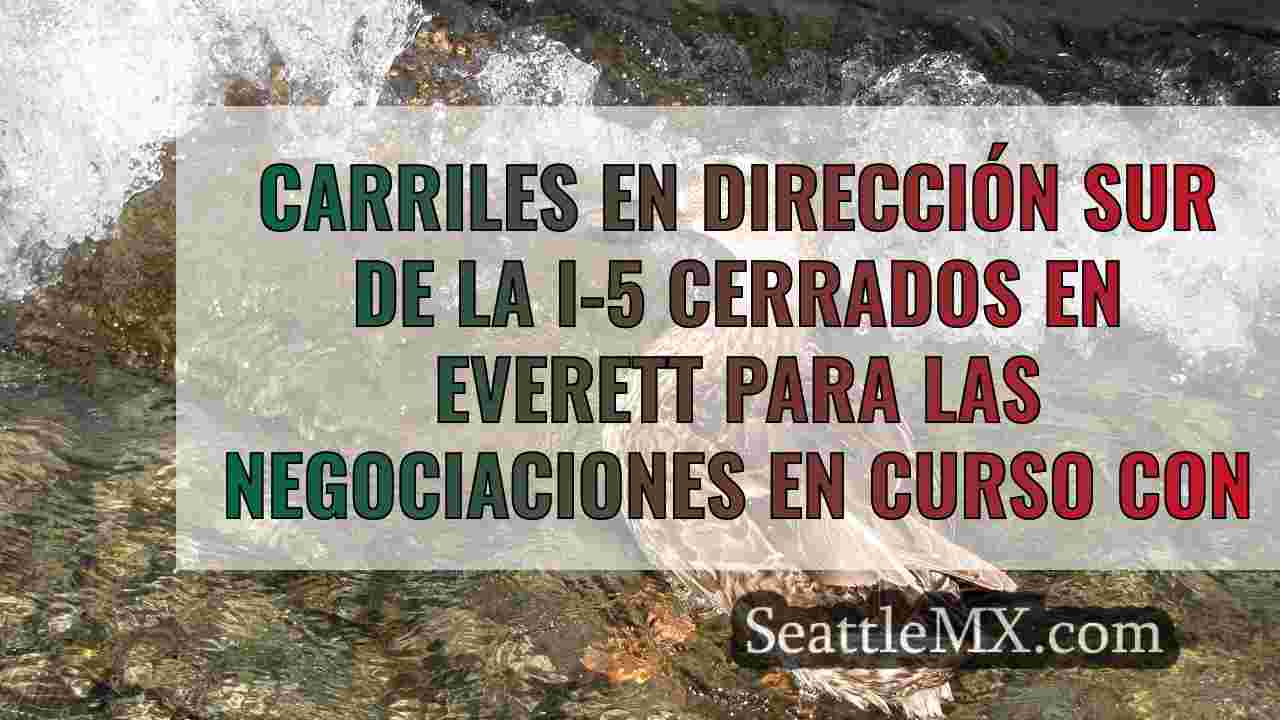 Noticias de Seattle SeattleMX