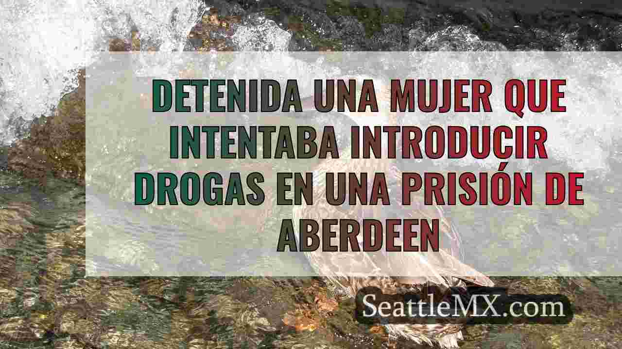 Noticias de Seattle SeattleMX