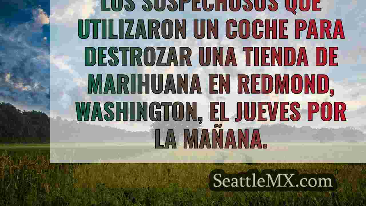 Noticias de Seattle SeattleMX