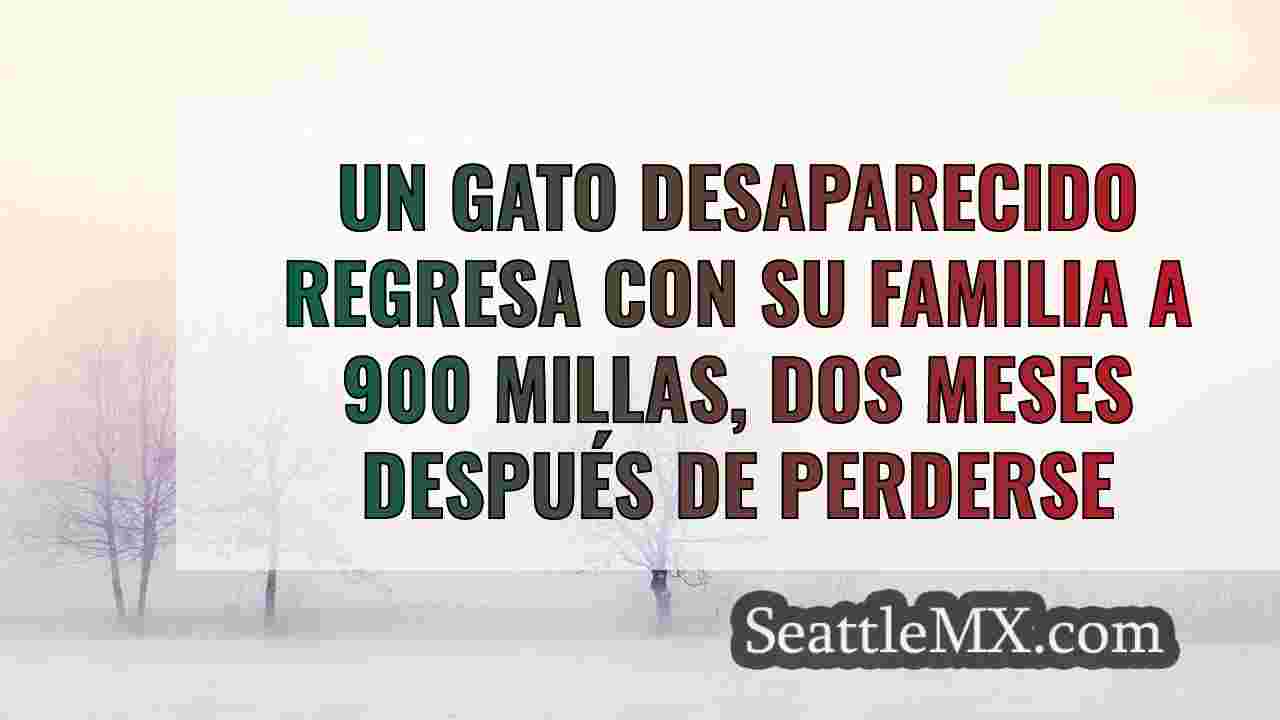 Noticias de Seattle SeattleMX