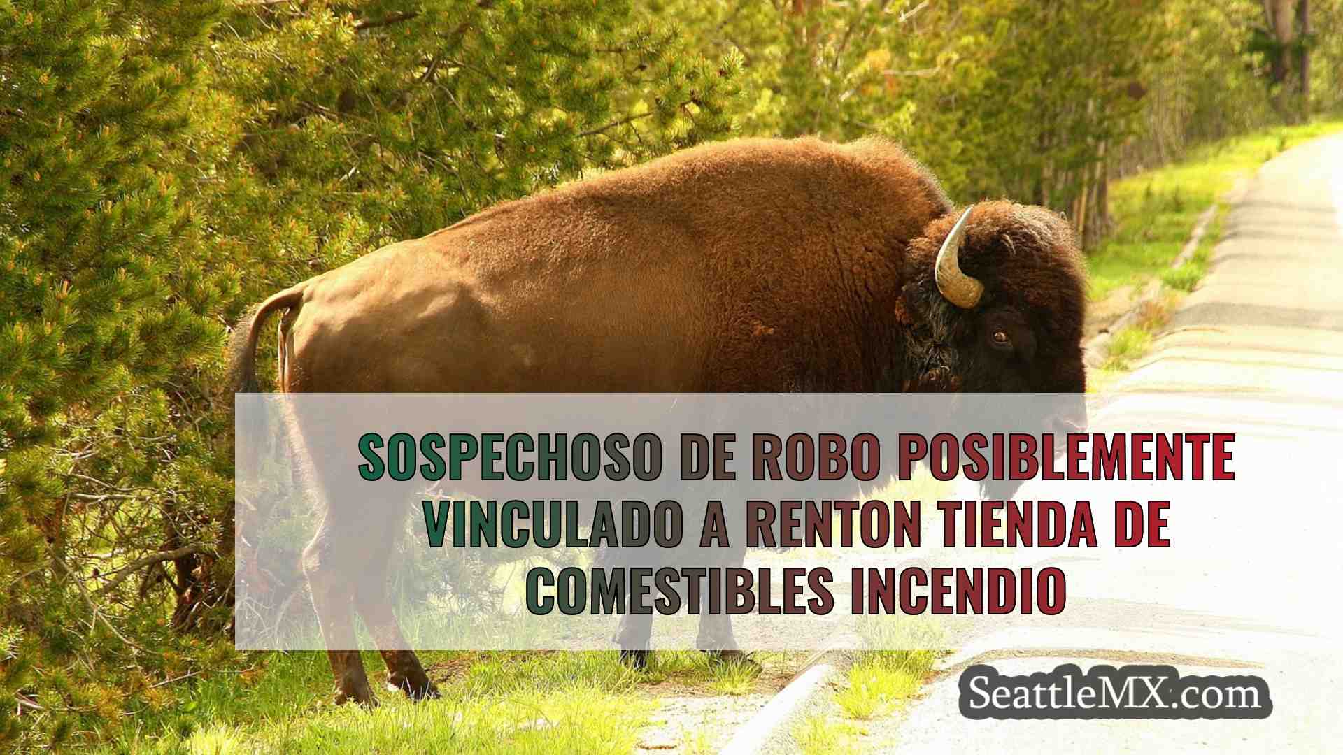 Noticias de Seattle SeattleMX