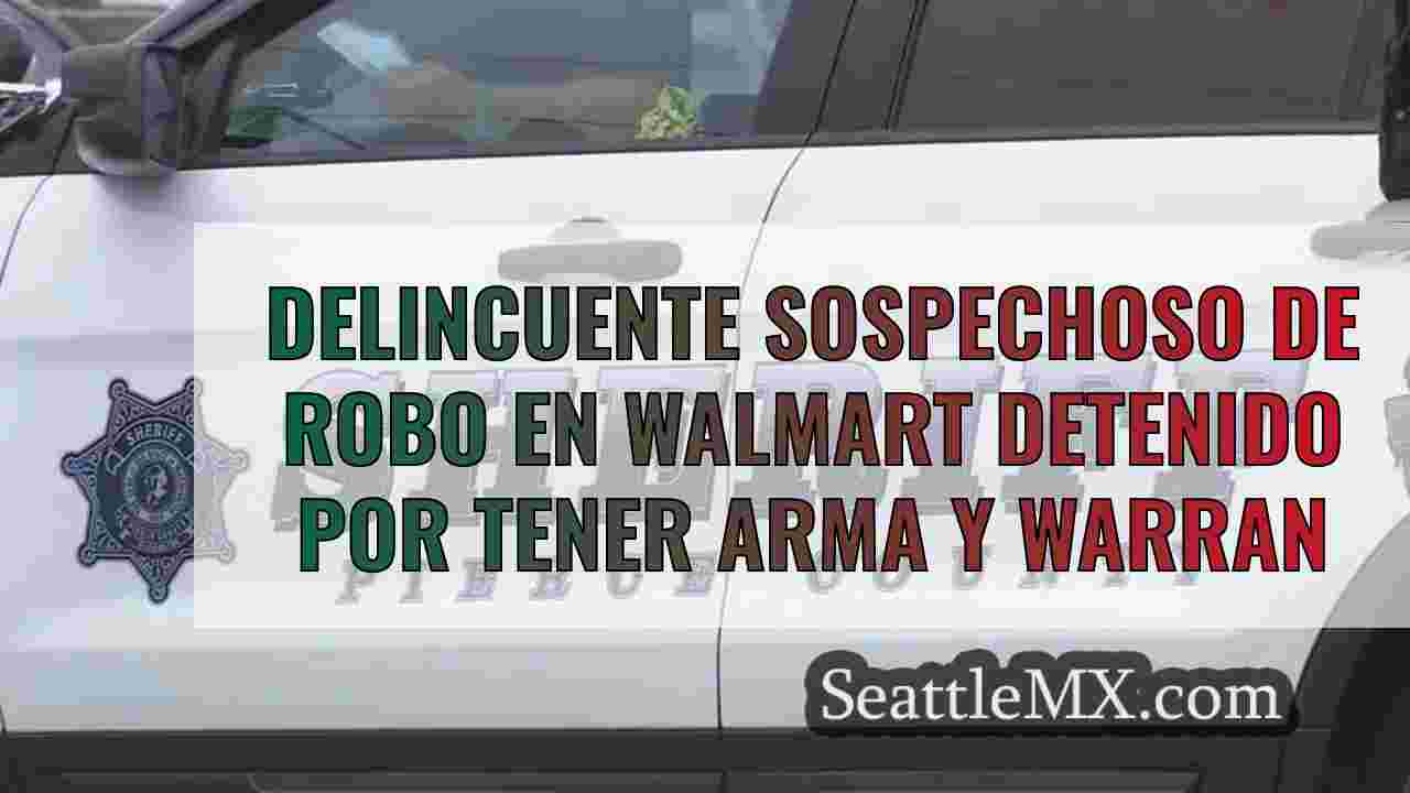 Detenido un delincuente sospechoso de