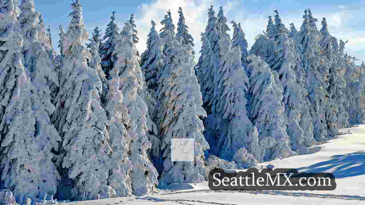 Noticias de Seattle SeattleMX