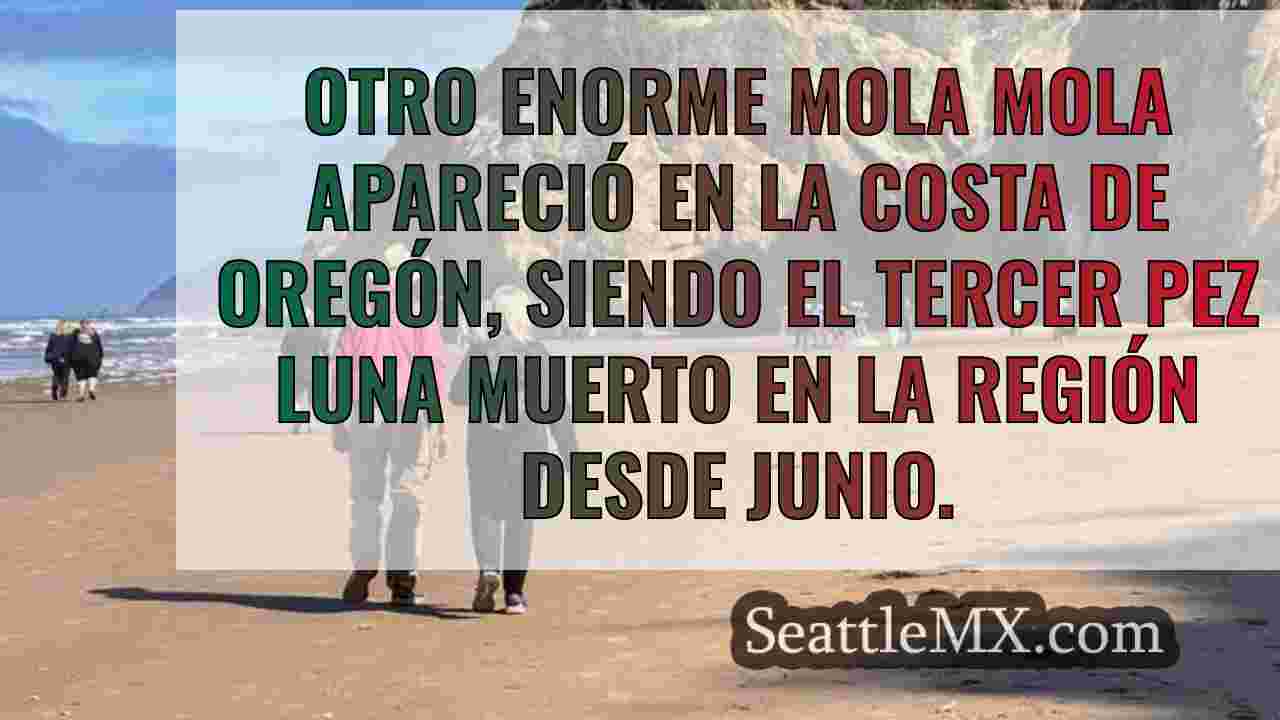 Noticias de Seattle SeattleMX