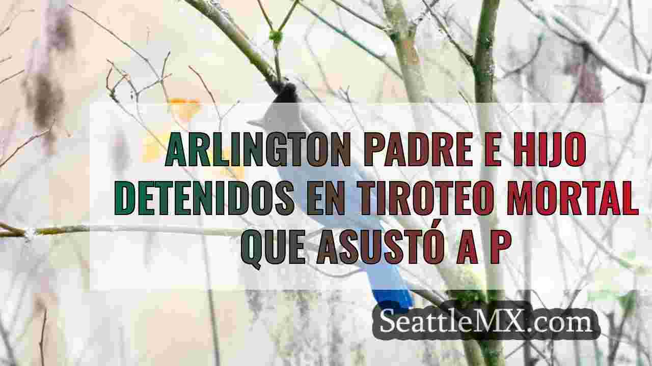 Arlington padre e hijo detenido en