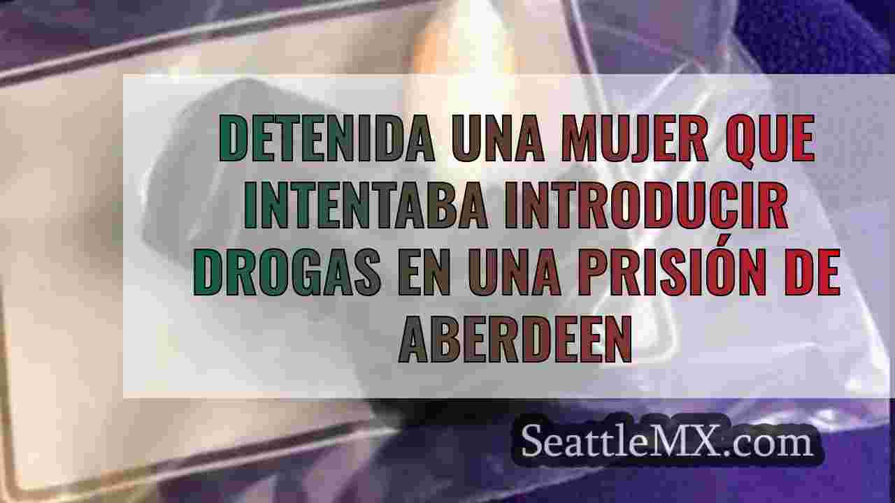 Detenida una mujer que intentaba