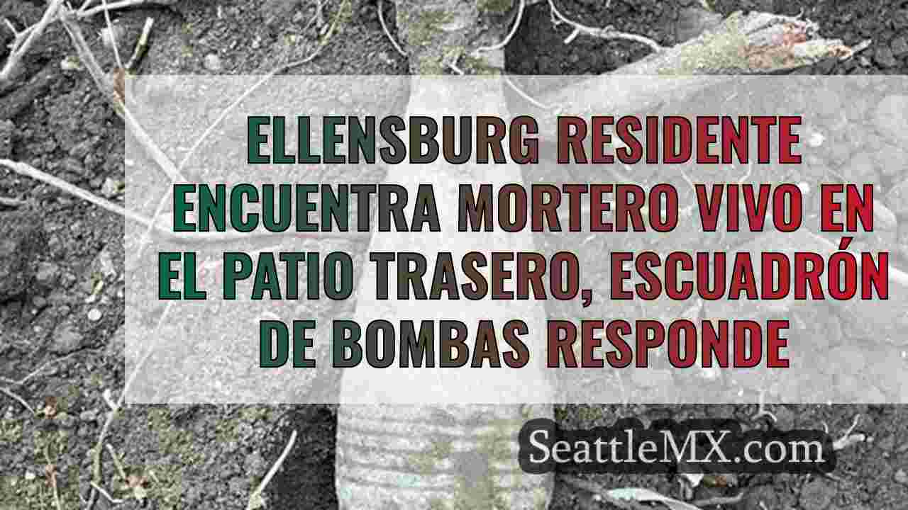 Ellensburg residente encuentra mortero