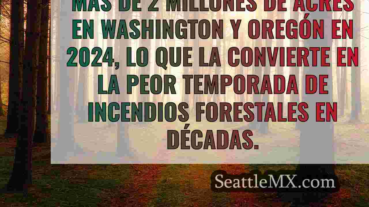 Noticias de Seattle SeattleMX