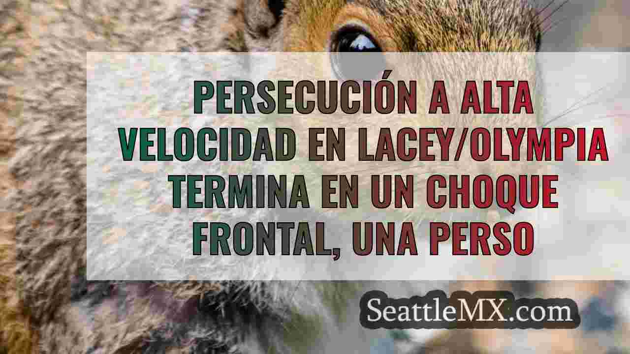 Persecución a alta velocidad en