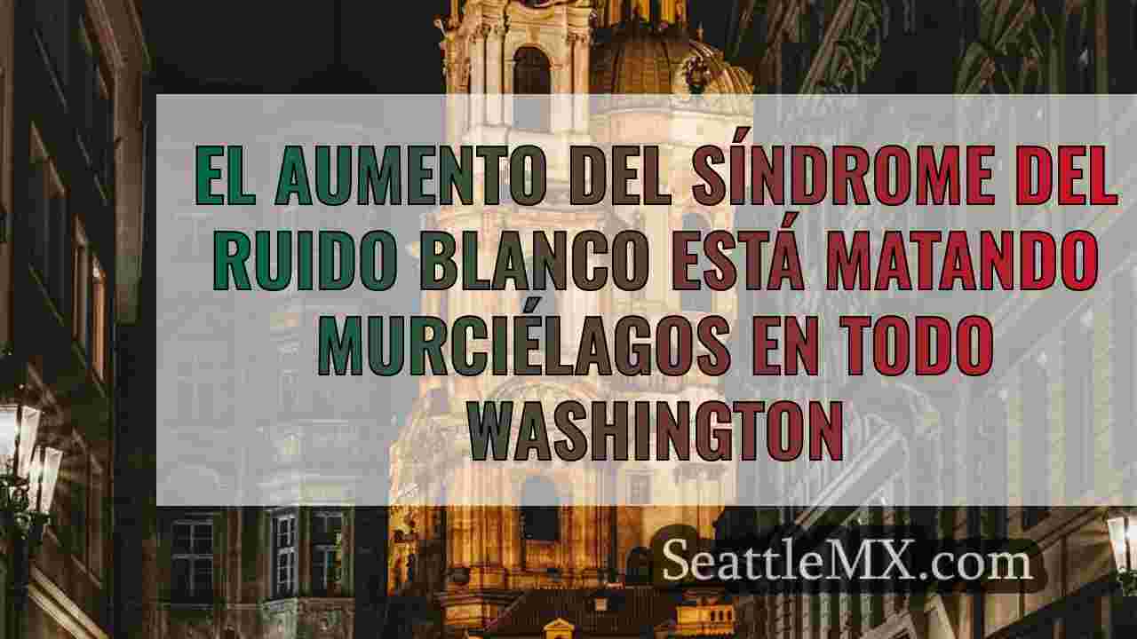 Noticias de Seattle SeattleMX