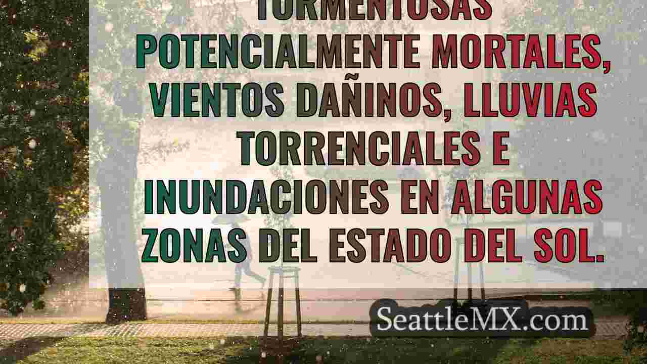 Noticias de Seattle SeattleMX