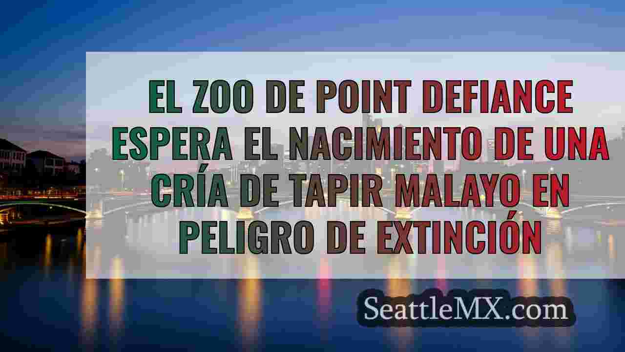 Noticias de Seattle SeattleMX