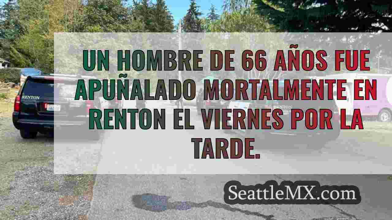 Un joven de 19 años mata a puñaladas a