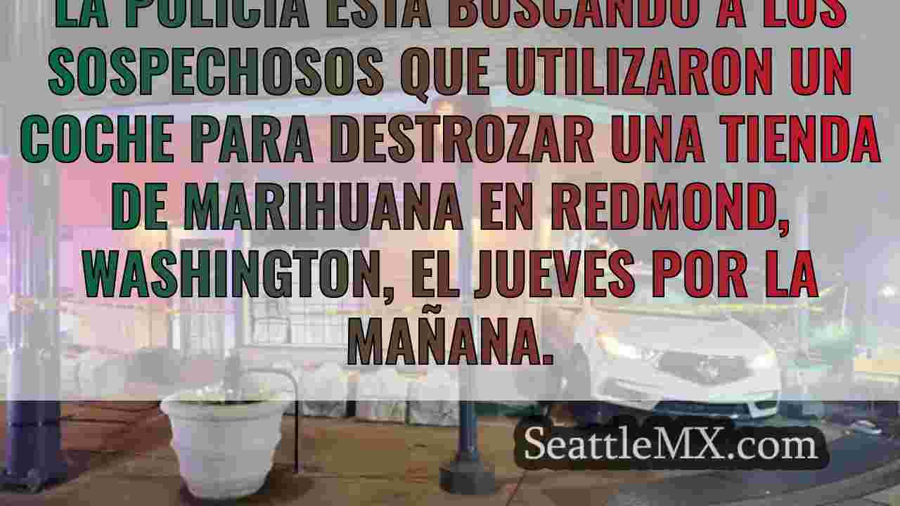 La policía busca a varios sospechosos