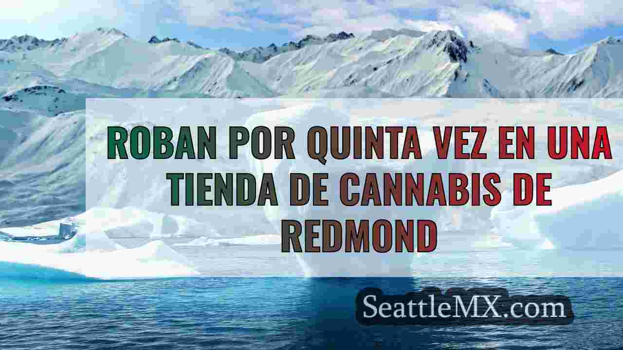 Noticias de Seattle SeattleMX