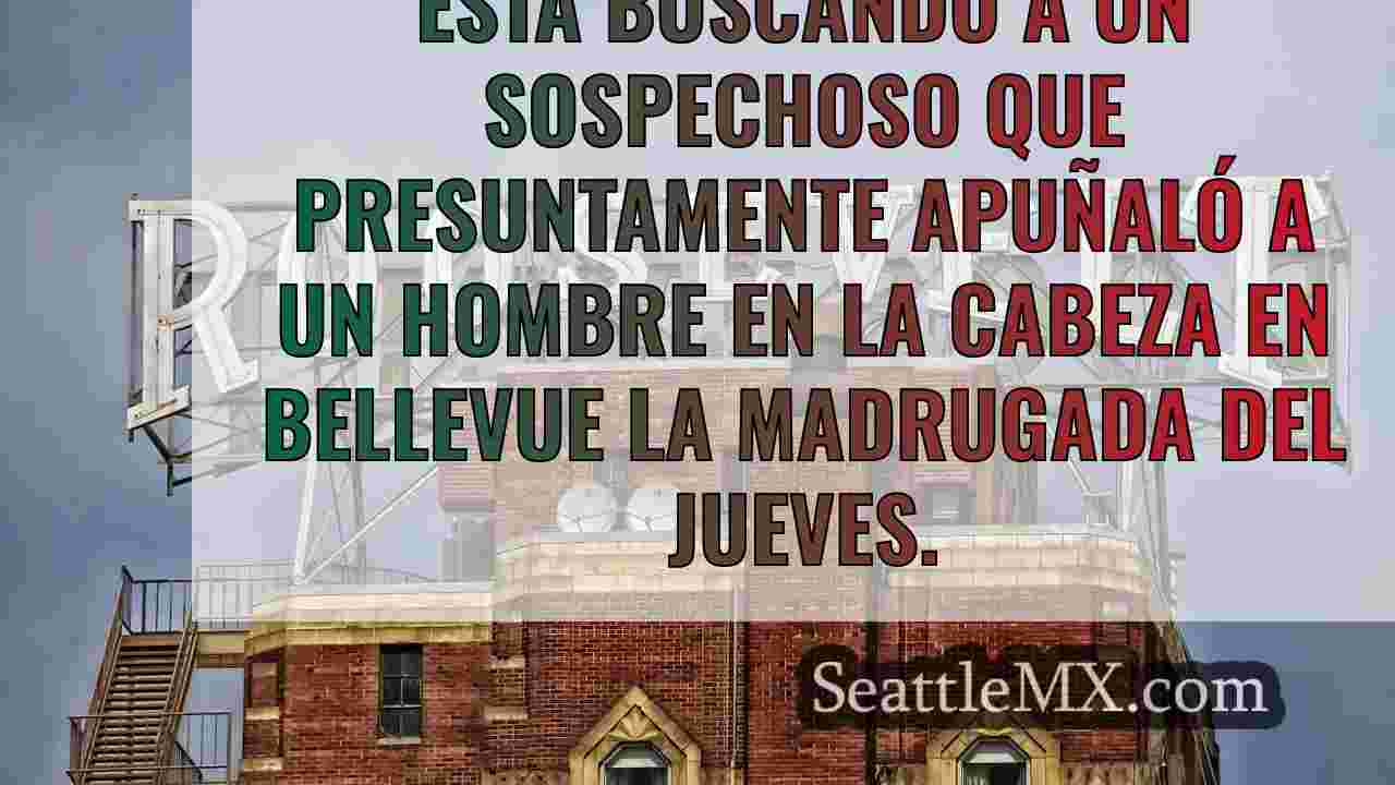 Noticias de Seattle SeattleMX