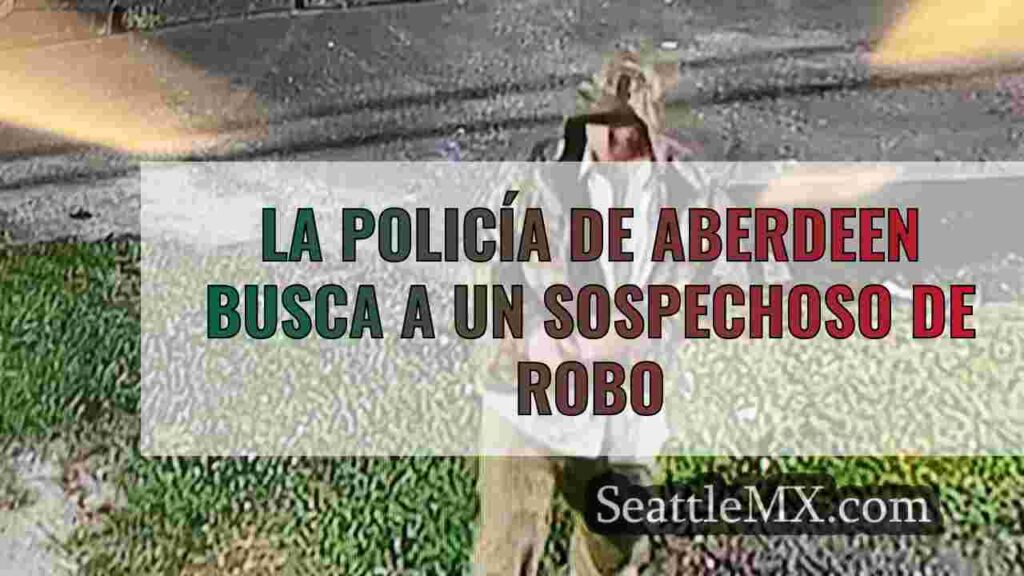 La policía de Aberdeen busca a un