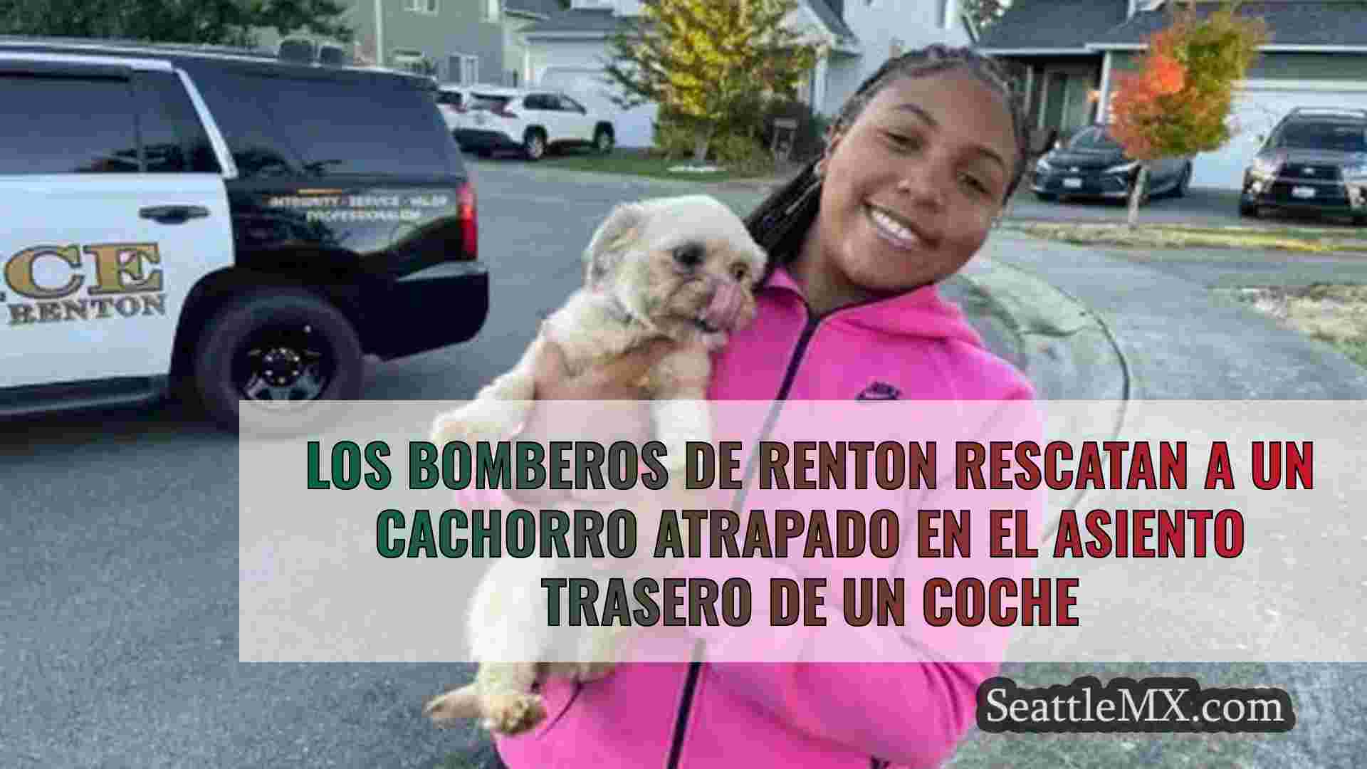 Los bomberos de Renton rescatan a un