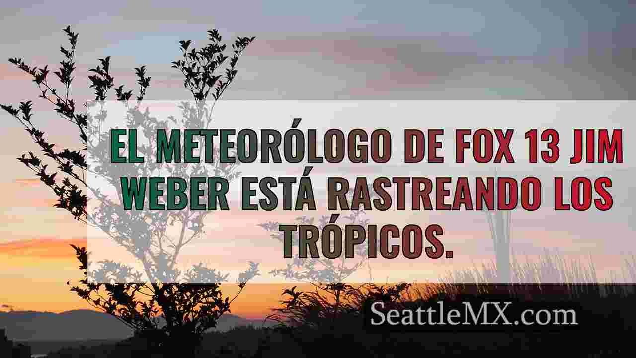 Se forma la tormenta tropical Francine