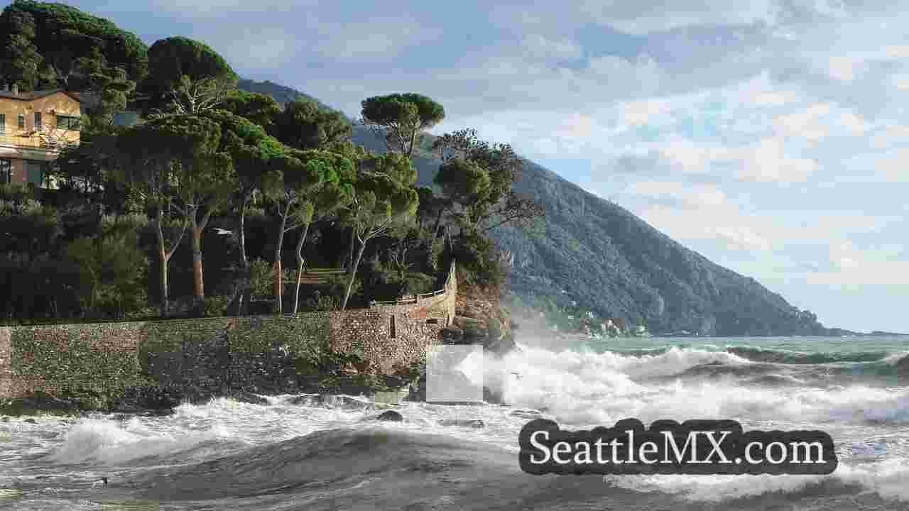 Noticias de Seattle SeattleMX