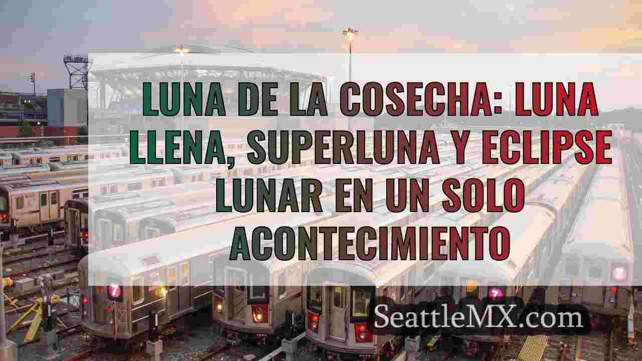 Noticias de Seattle SeattleMX