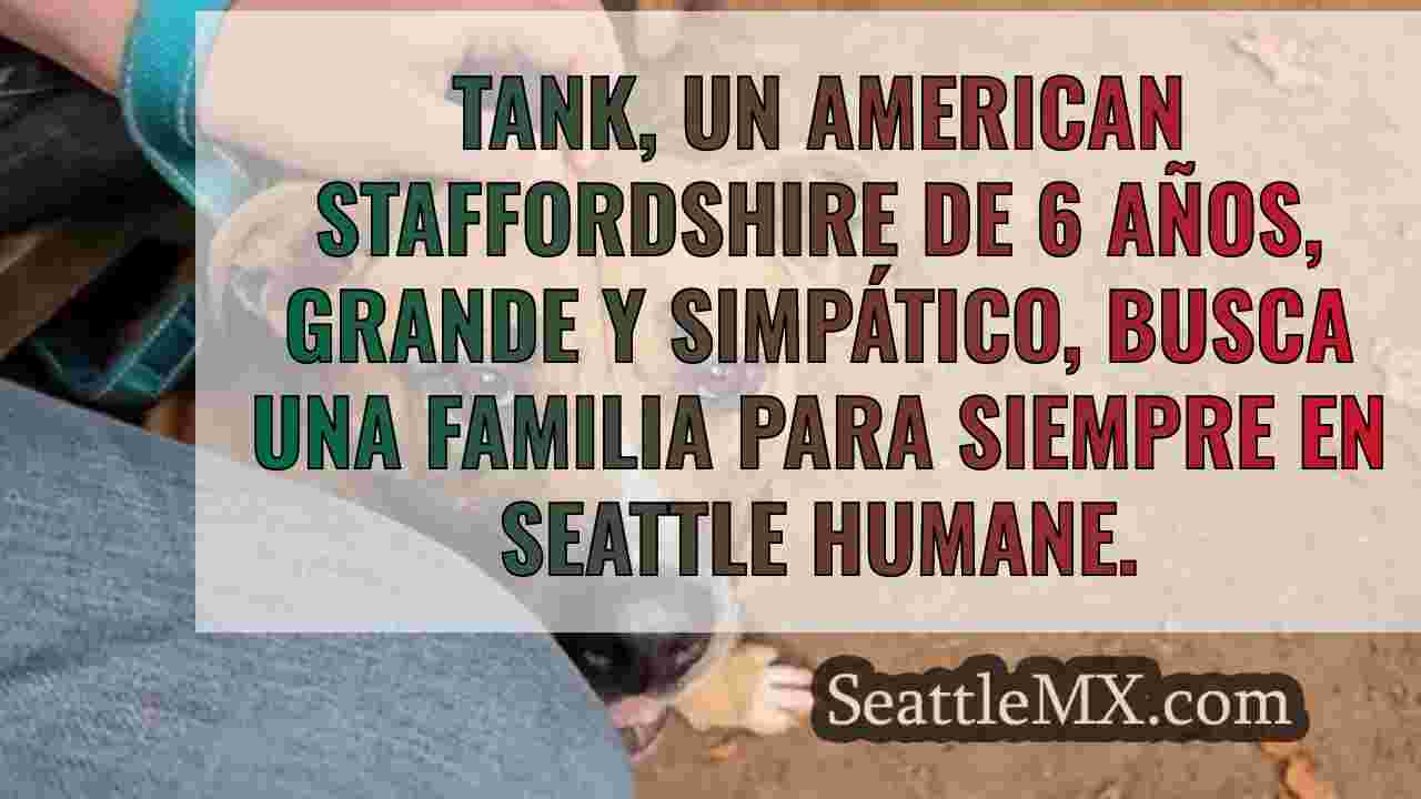 Noticias de Seattle SeattleMX