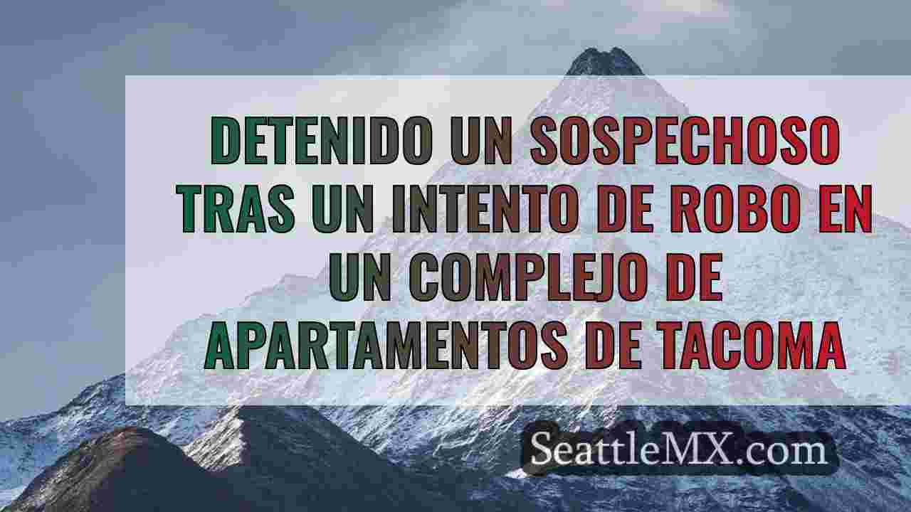 Detenido un sospechoso tras un intento
