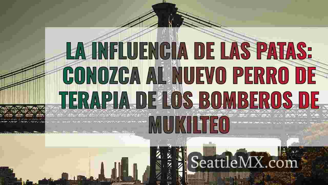 Noticias de Seattle SeattleMX