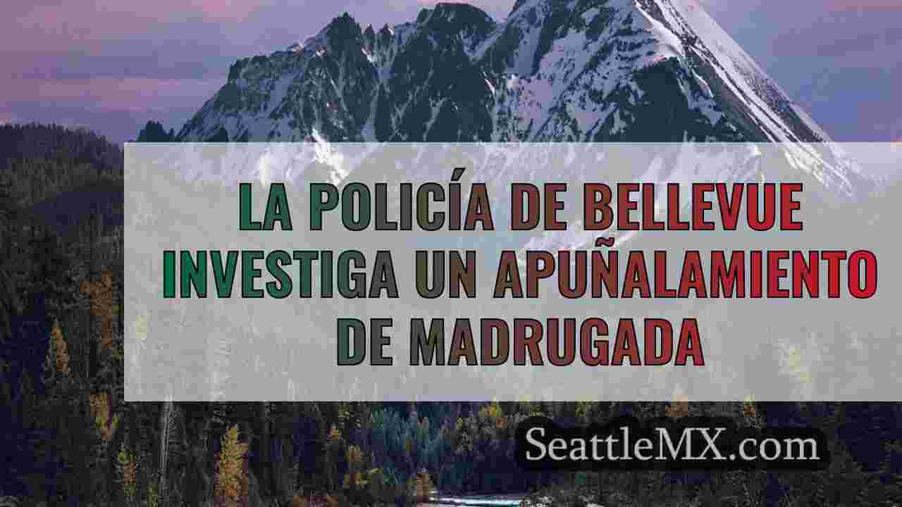 Noticias de Seattle SeattleMX
