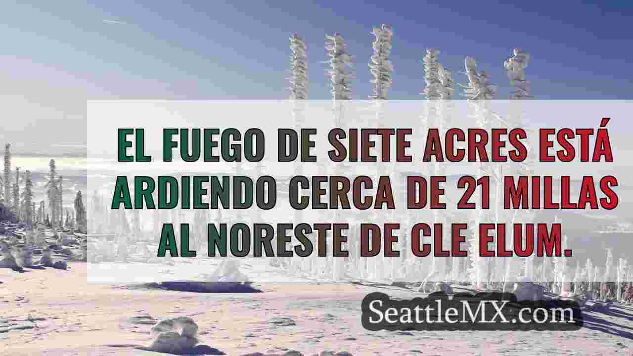 Noticias de Seattle SeattleMX