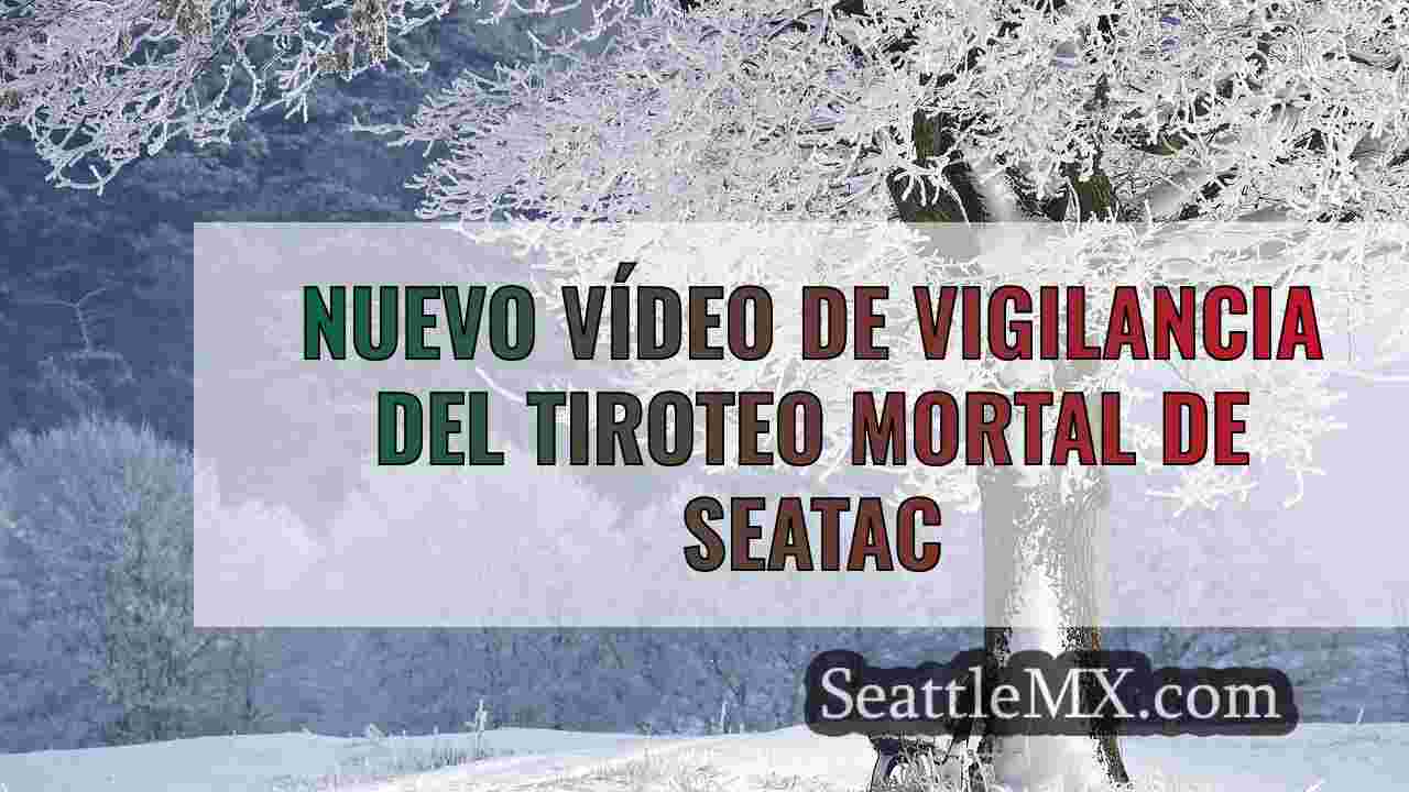 Nuevo vídeo de vigilancia del tiroteo