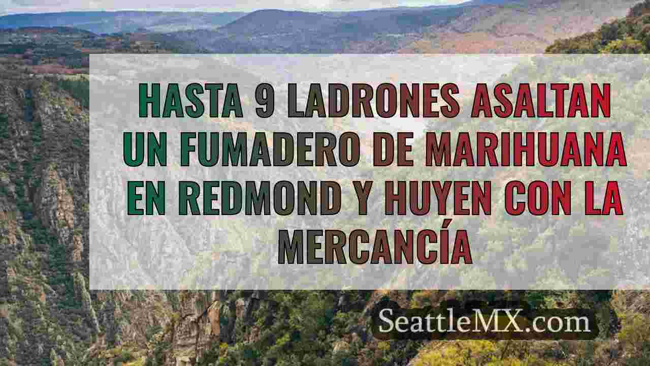Noticias de Seattle SeattleMX
