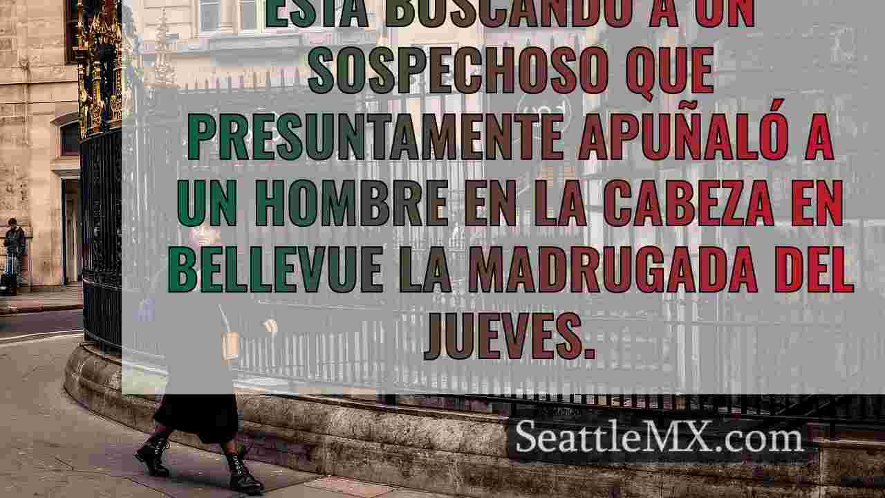 Noticias de Seattle SeattleMX
