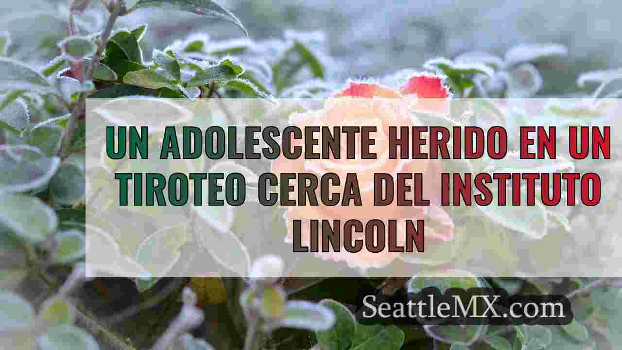 Noticias de Seattle SeattleMX