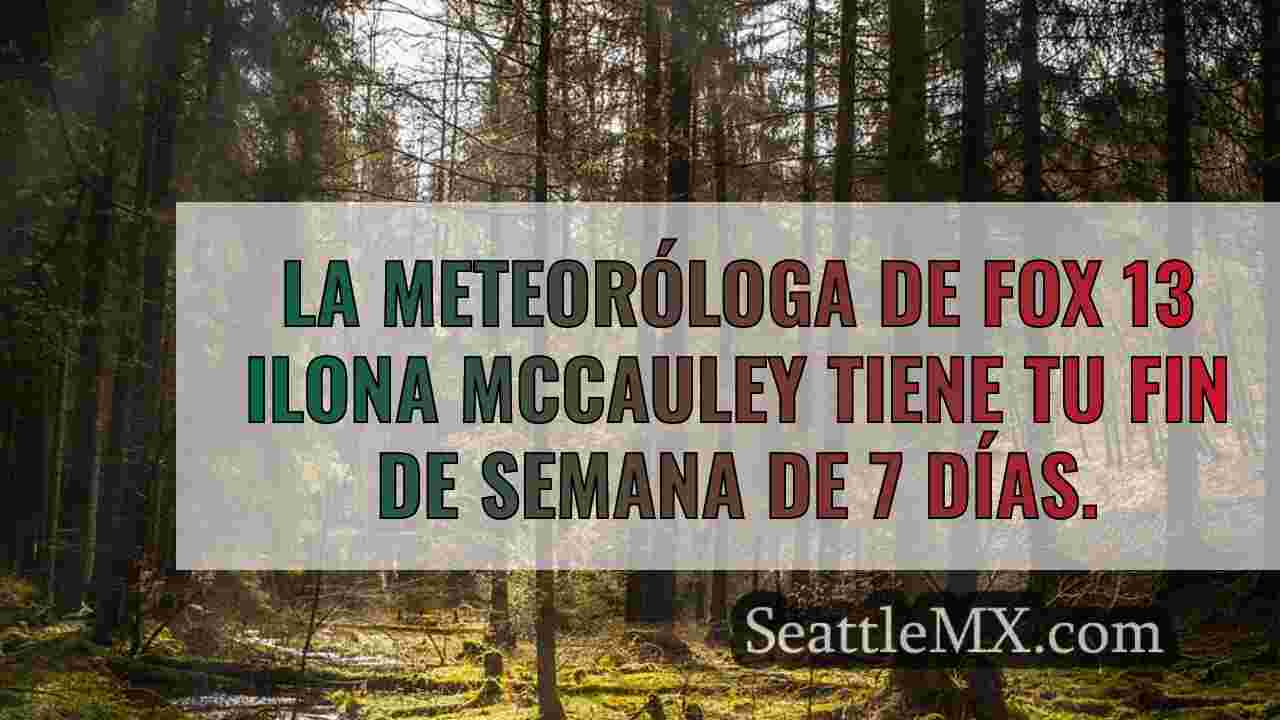 Noticias de Seattle SeattleMX
