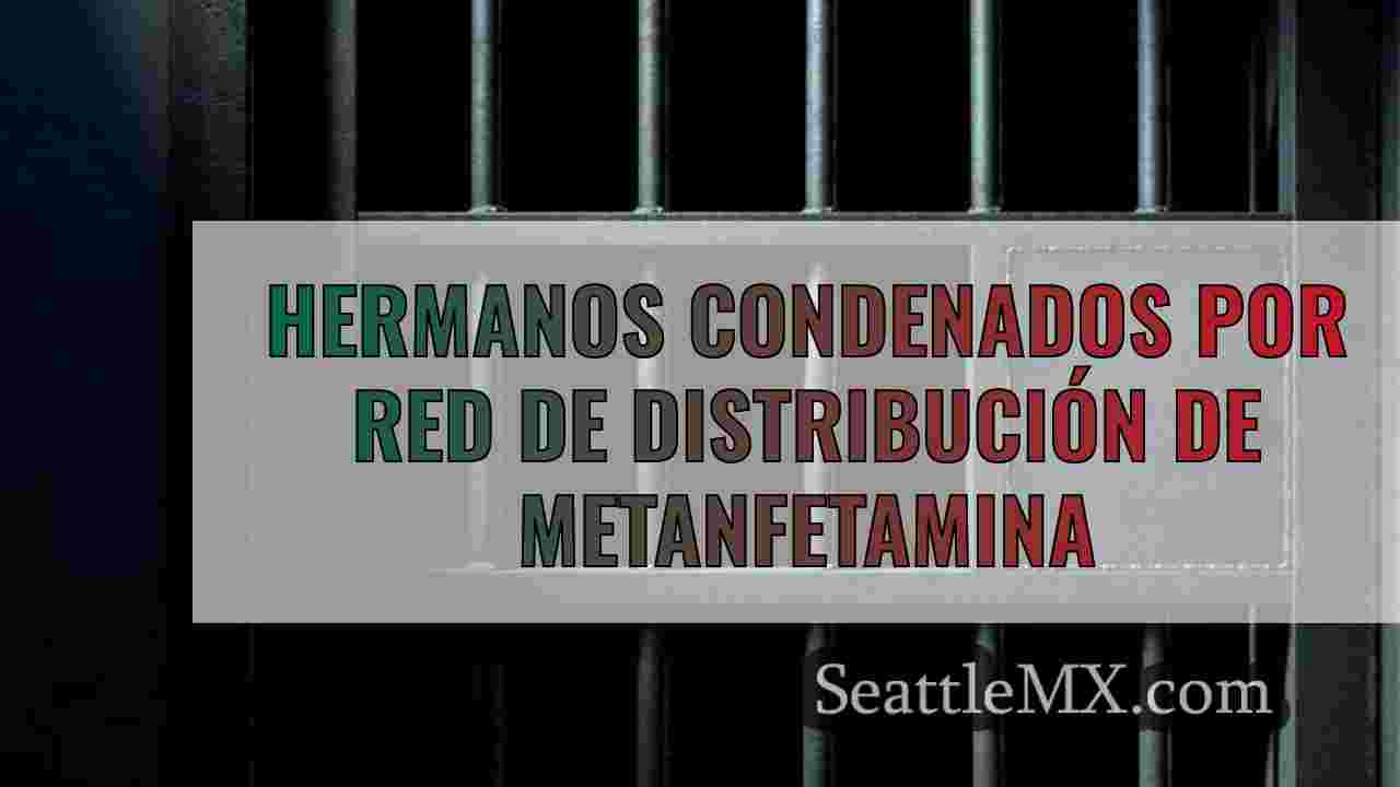 Hermanos condenados por red de