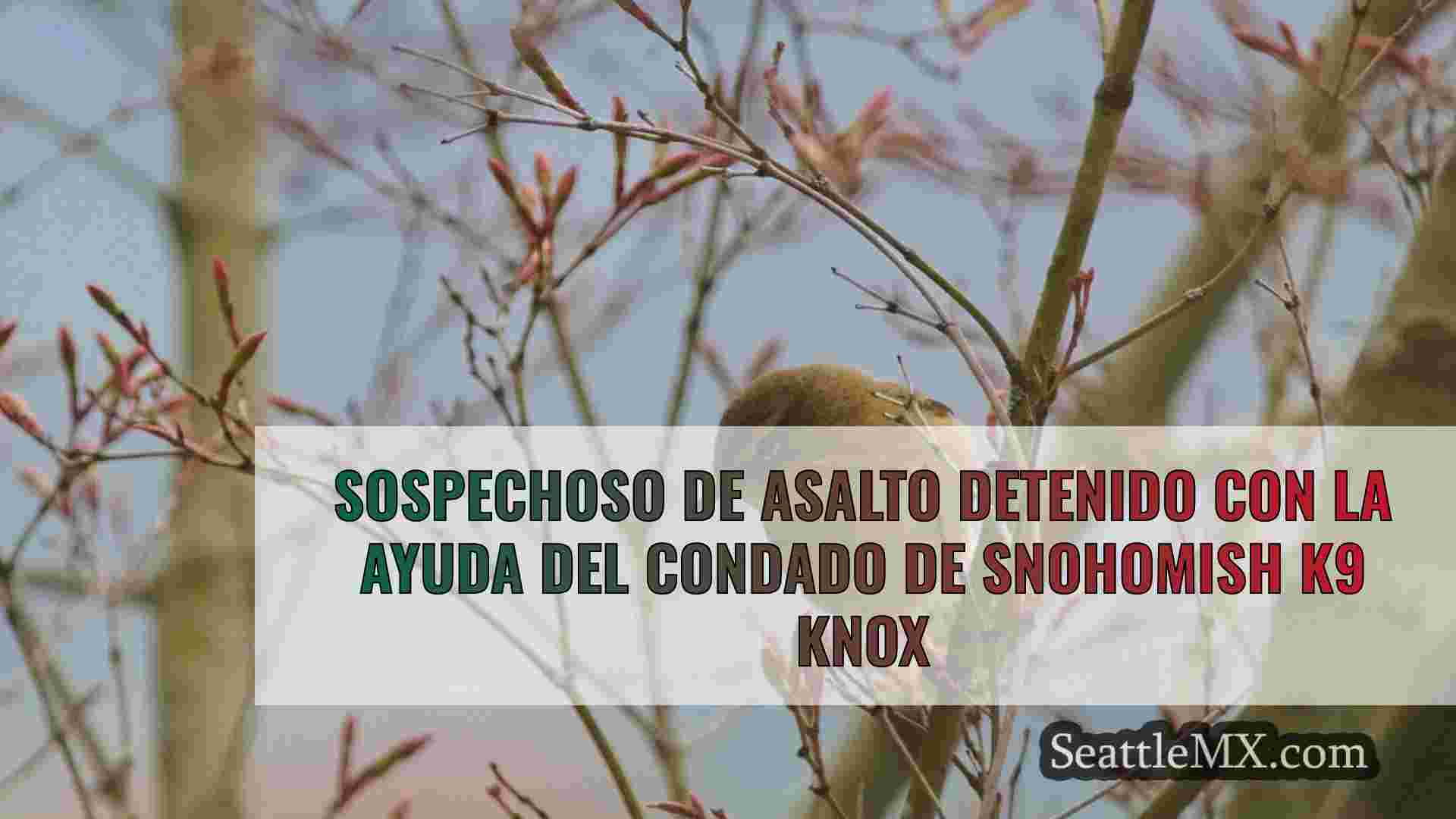 Noticias de Seattle SeattleMX