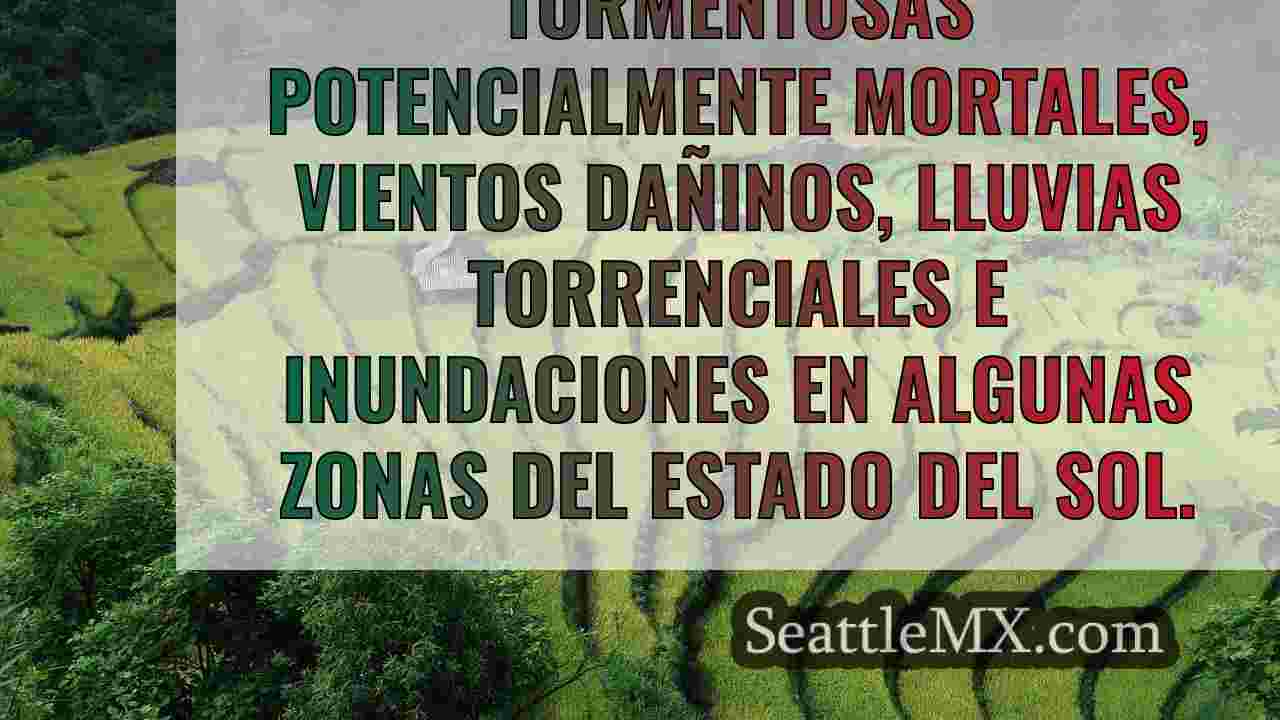 Noticias de Seattle SeattleMX