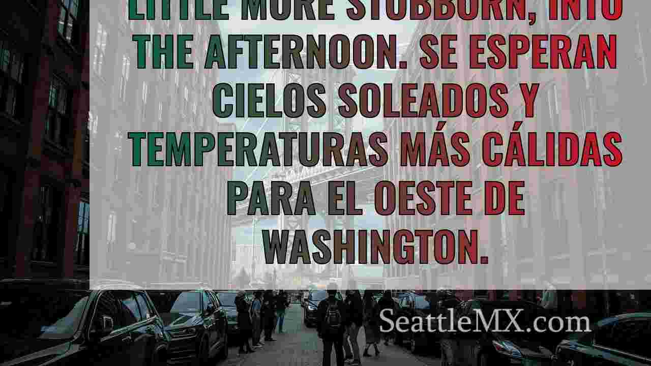 Noticias de Seattle SeattleMX
