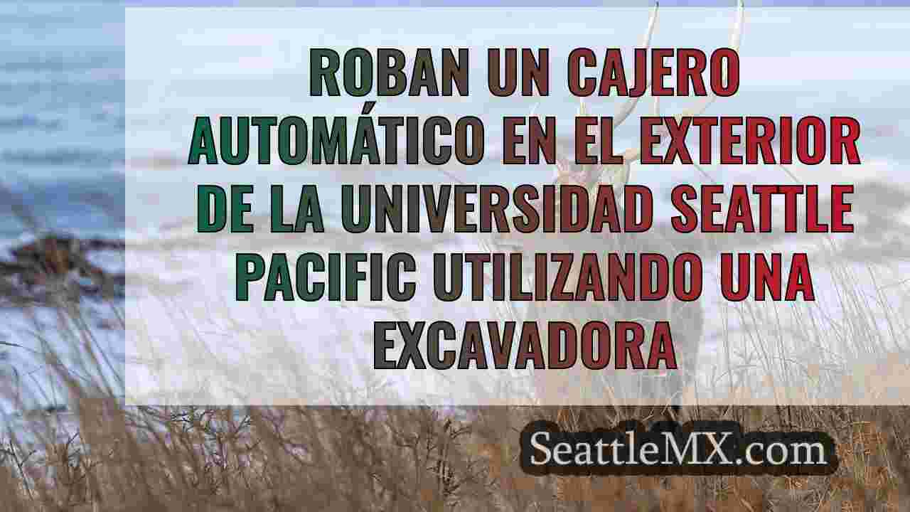 Noticias de Seattle SeattleMX