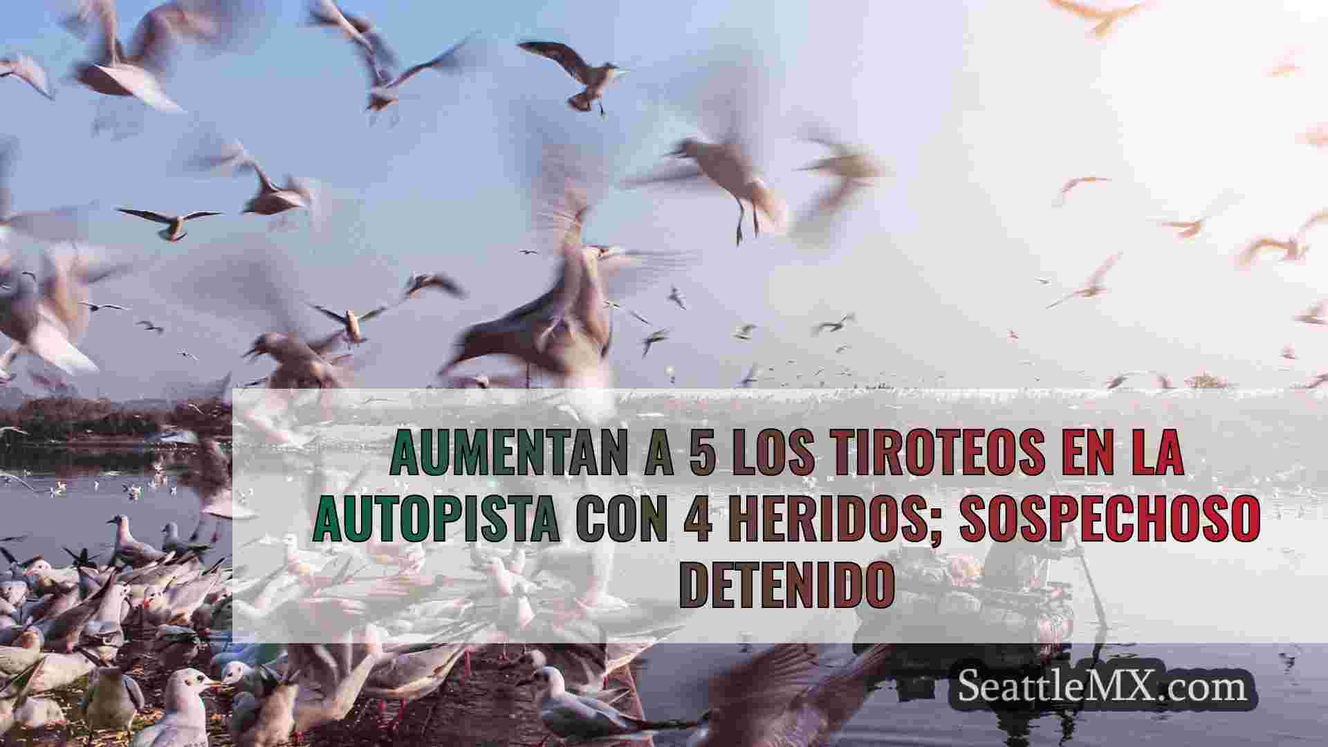 Aumentan a 5 los tiroteos en la