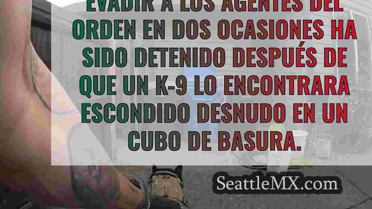 Noticias de Seattle SeattleMX