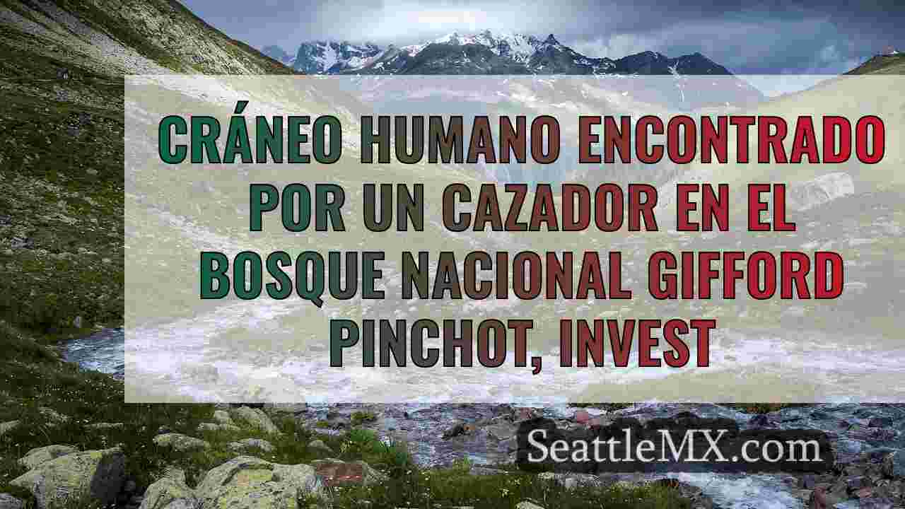 Noticias de Seattle SeattleMX