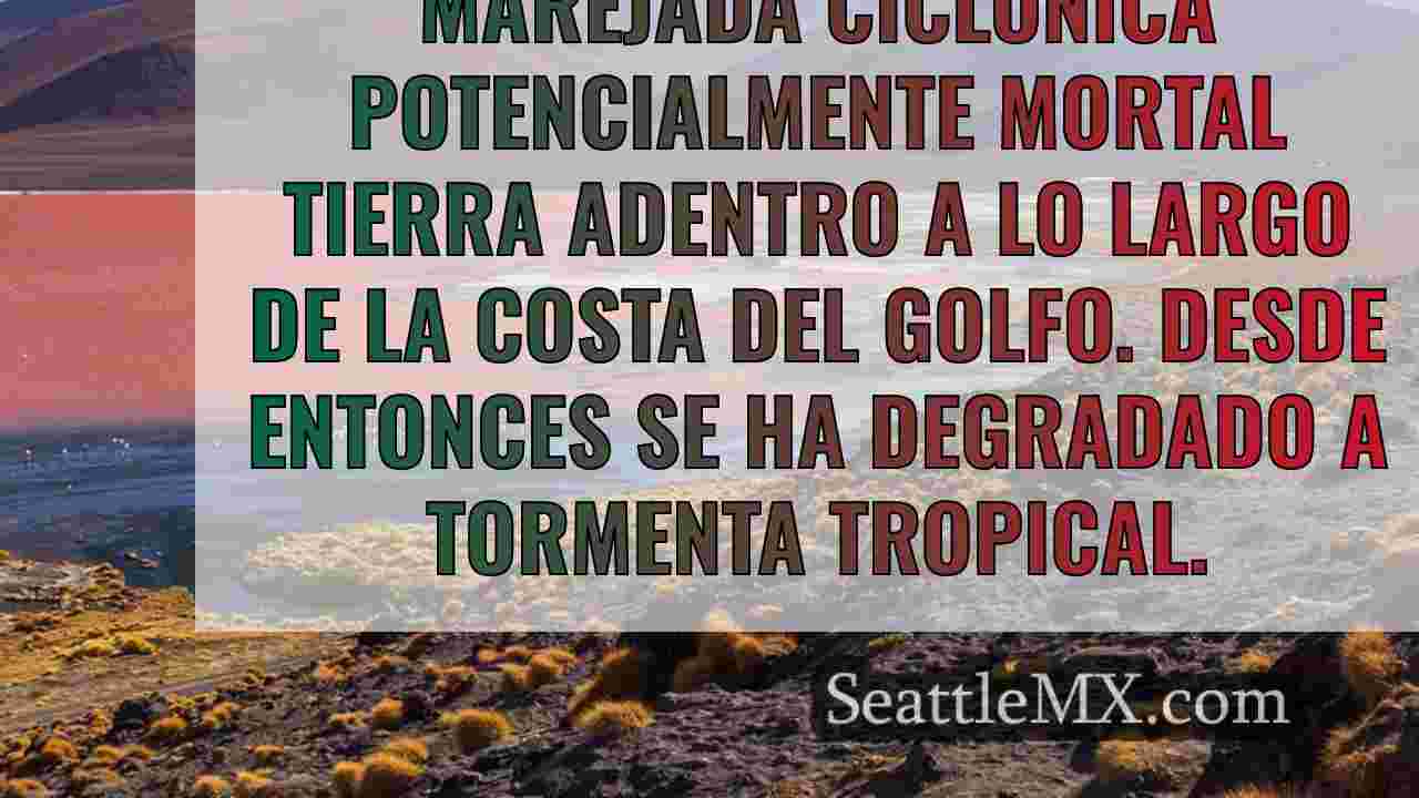 El feroz Francine azota Luisiana