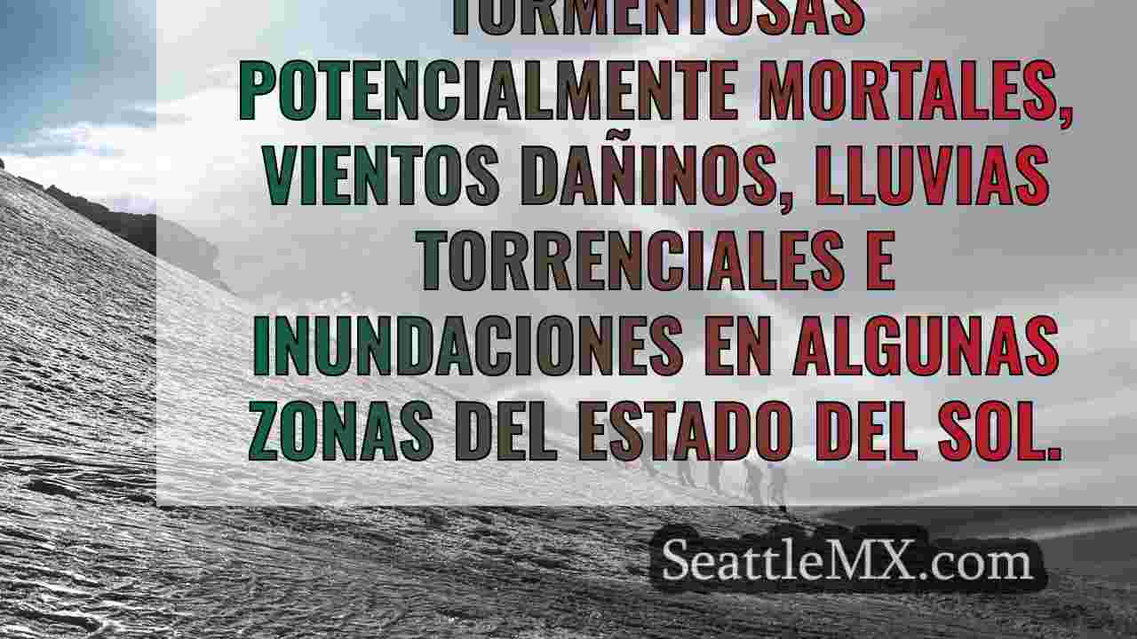 Noticias de Seattle SeattleMX