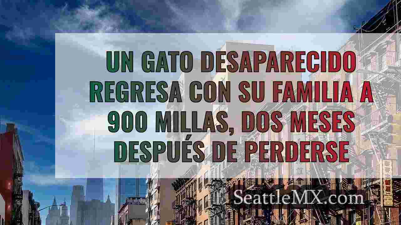 Noticias de Seattle SeattleMX