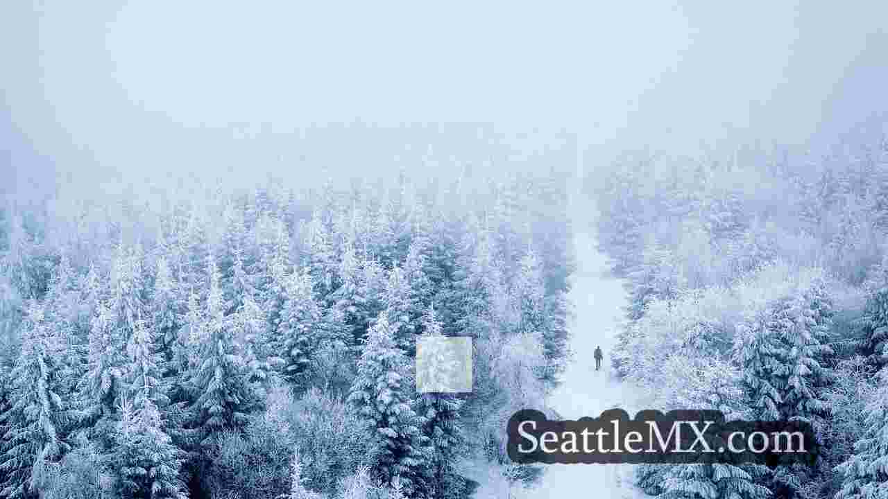 Noticias de Seattle SeattleMX