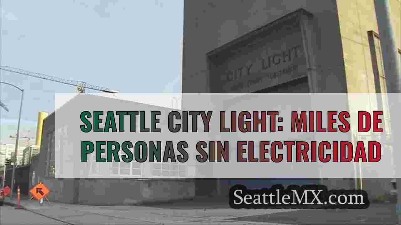 Seattle City Light: Miles de personas